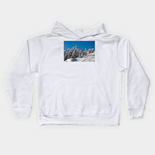 Courchevel 1850 3 Valleys French Alps France Kids Hoodie